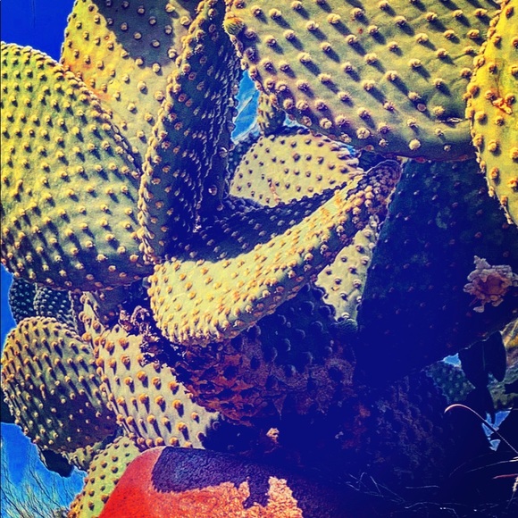 Meet your Posher, C. S. - Picture 1 of 1